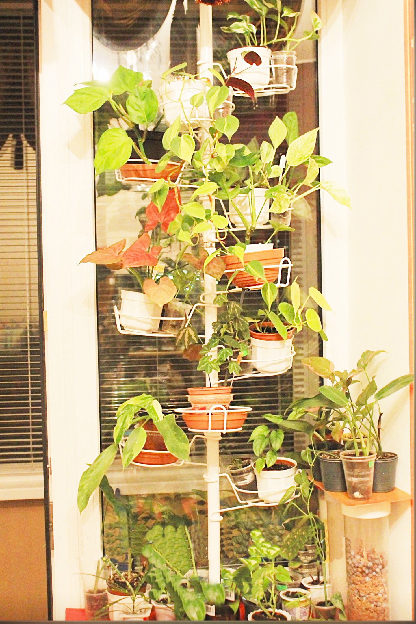 Распорка для маленьких растений Фиалочка. Фото N4