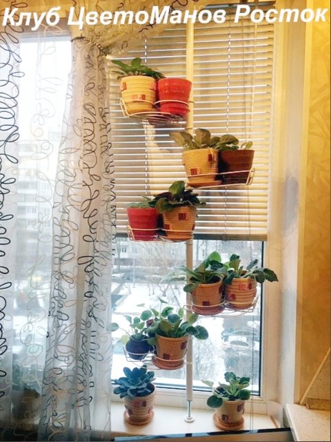 подставка для кактусов и деток растений